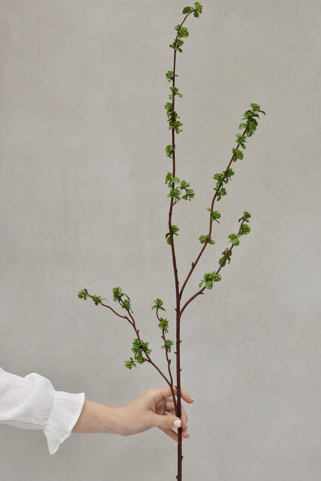 Mini Berry Branch 1.2m - Green main image 0