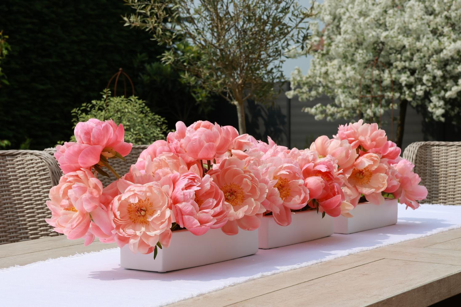 How to make the most of peony season