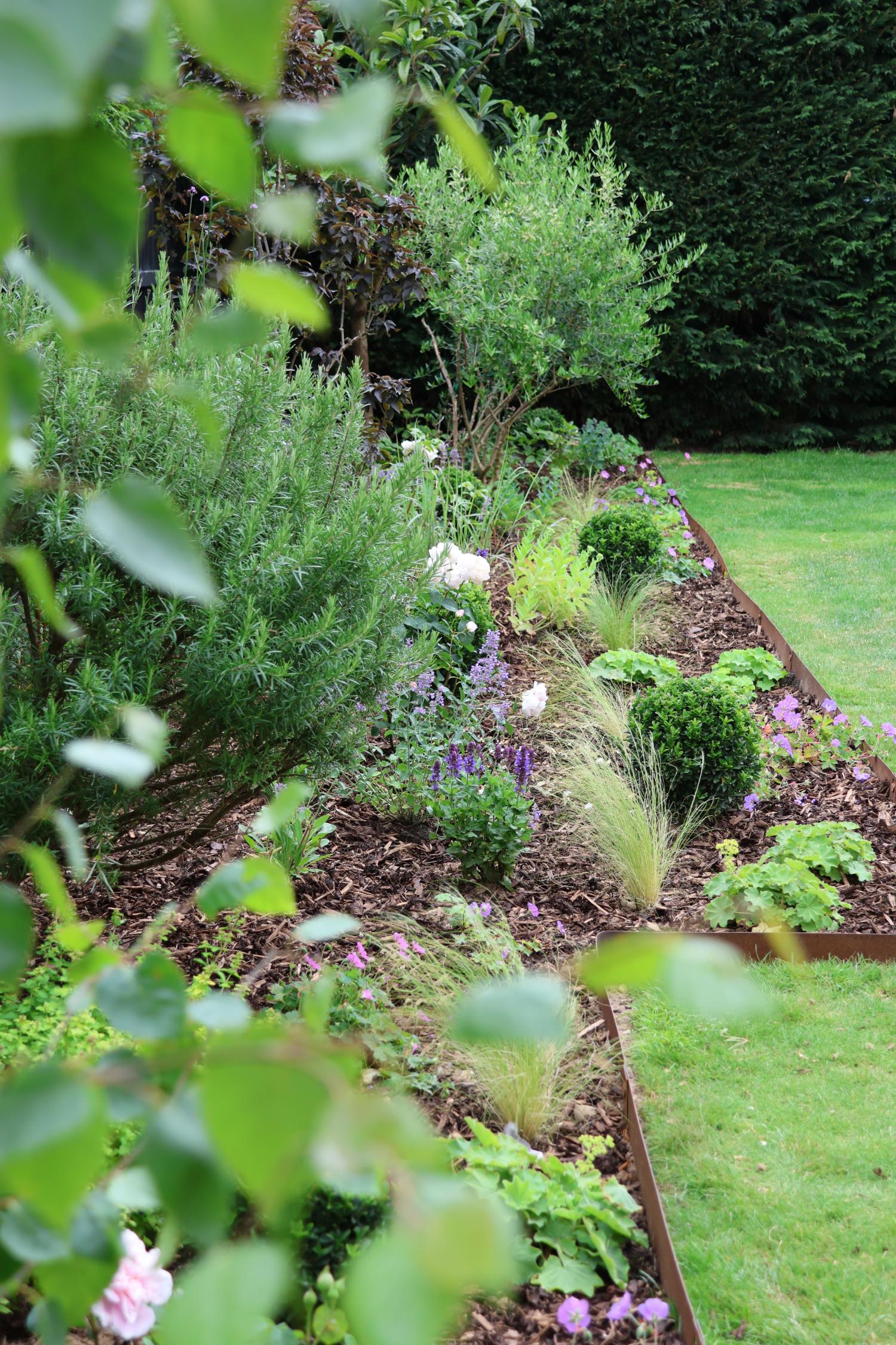 Garden Update - Part 1