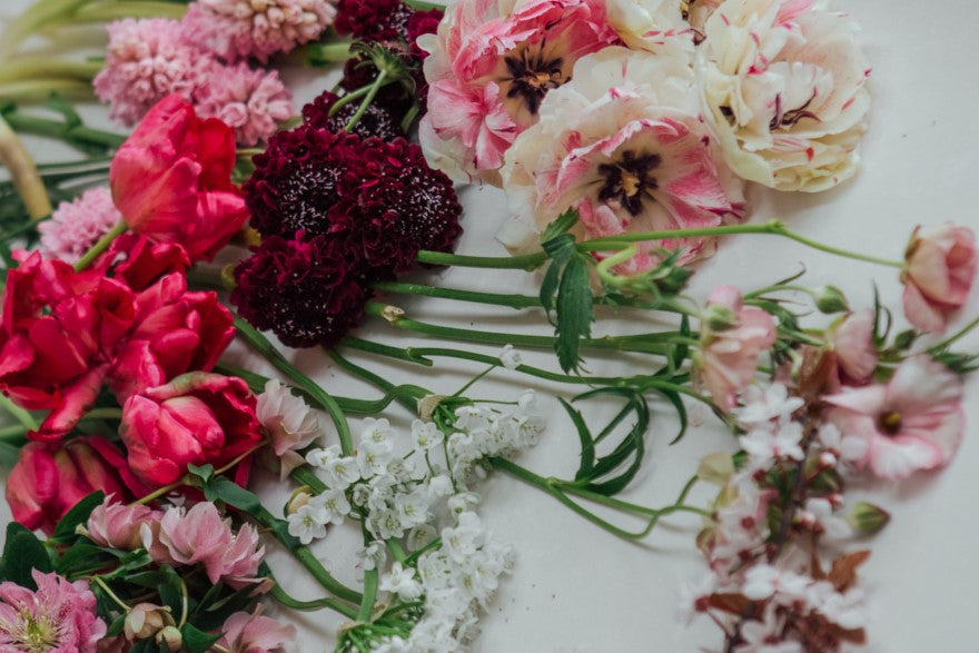 My Top 10 spring flowers to brighten your month