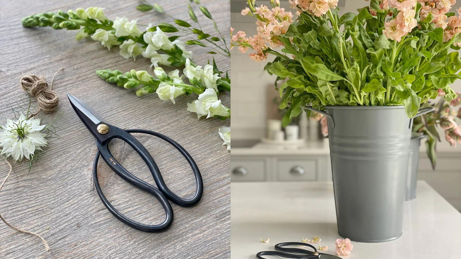 Must-have floristry tools by Ashlee Jane