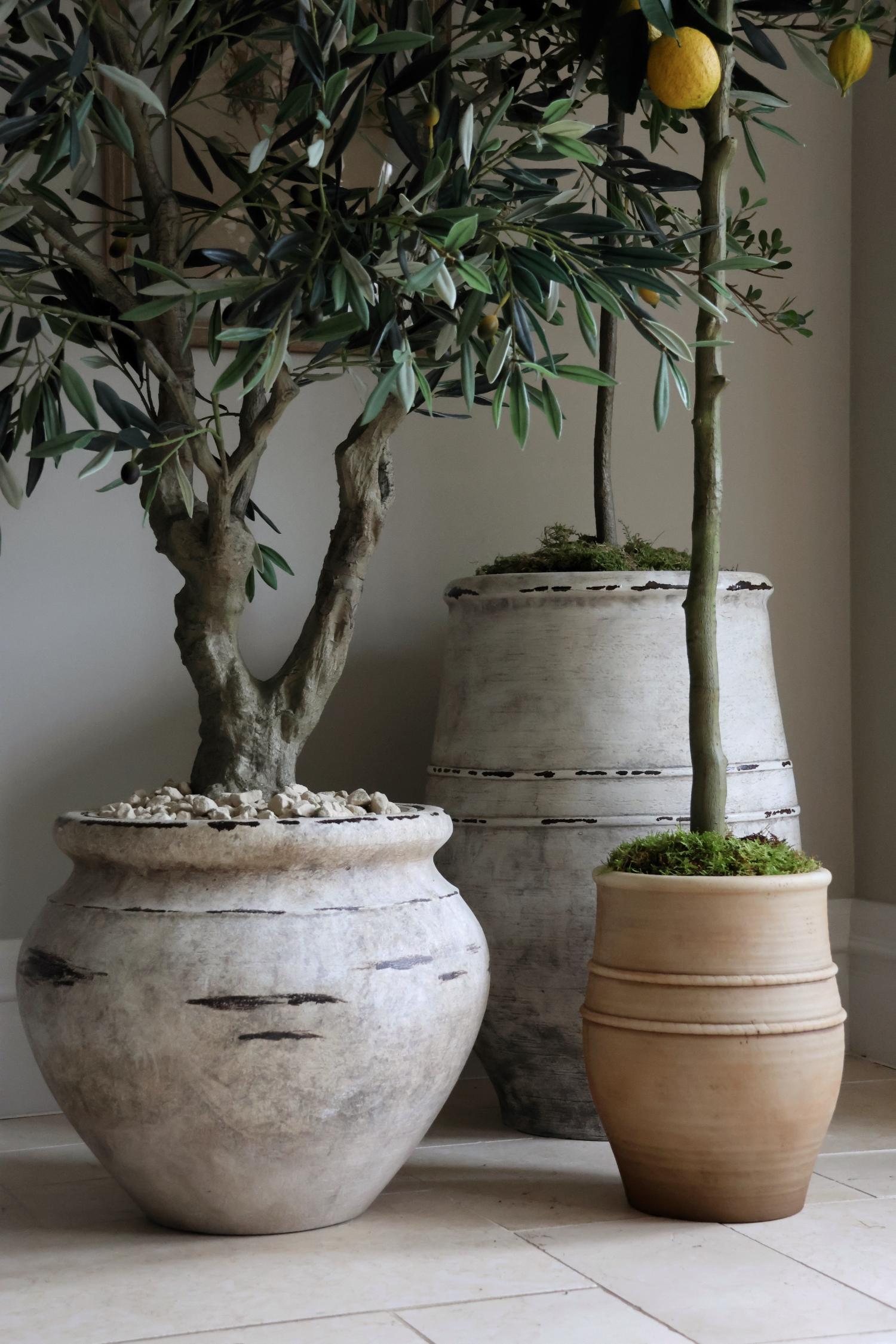 Perfect Partners: The faux trees and planters designed to work together