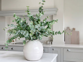 Foliage: the importance of greenery in our homes