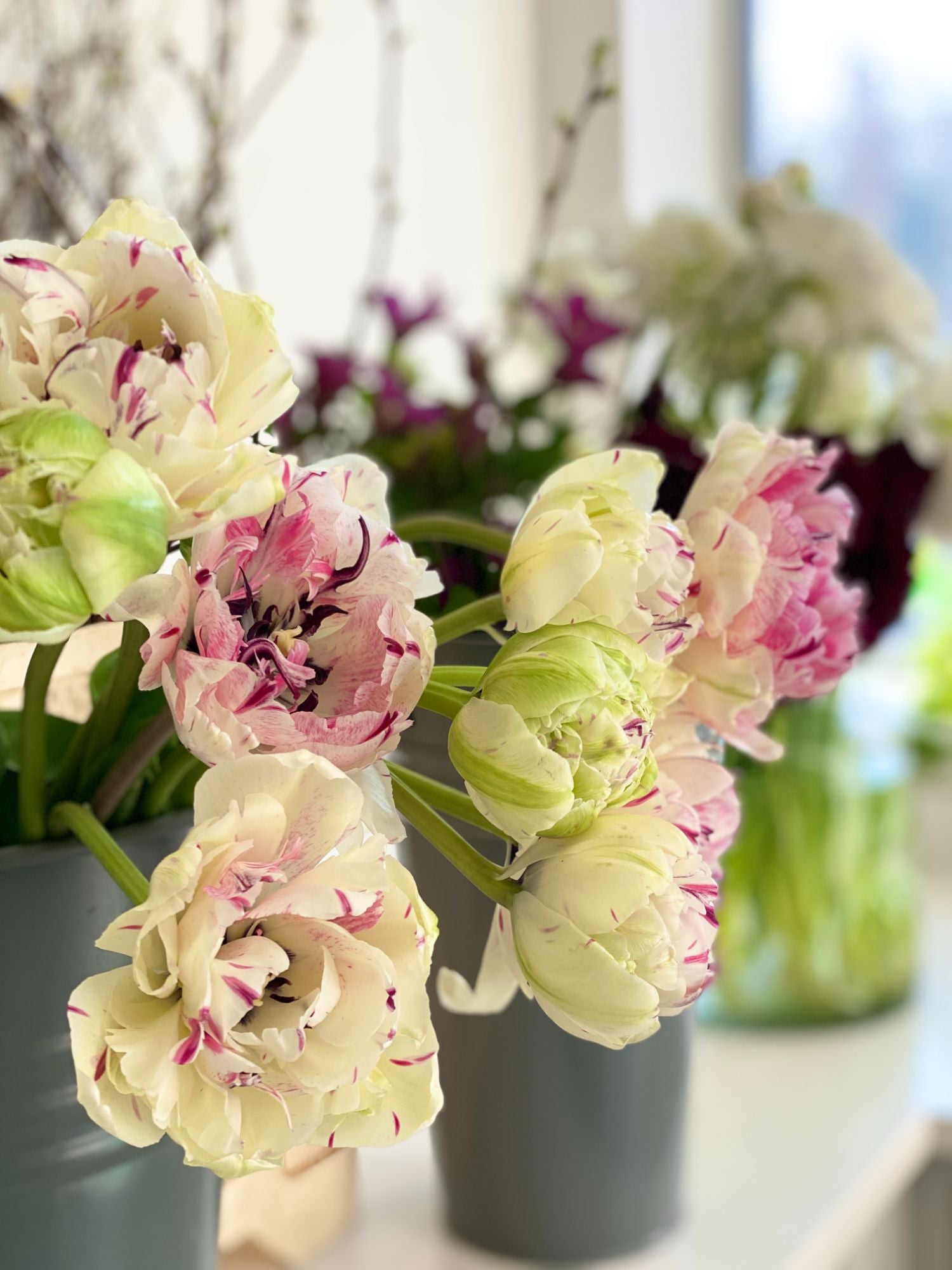 The symbolism of March blooms: What do your flowers mean?