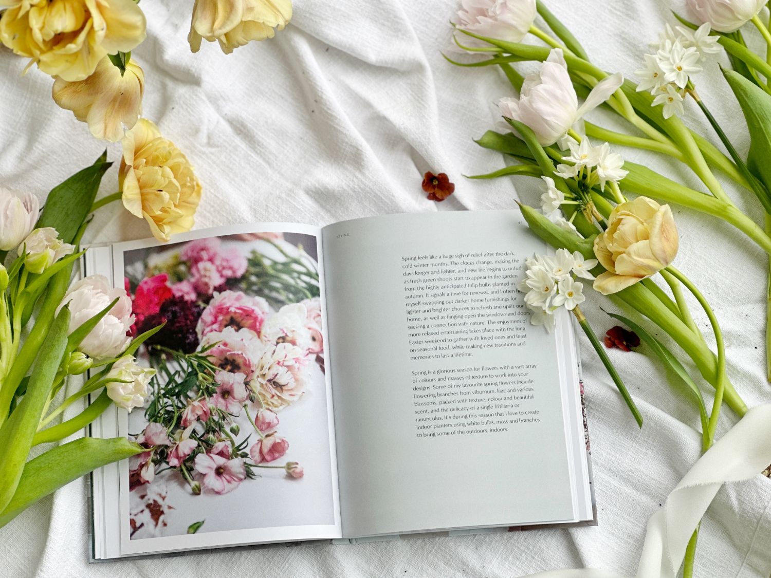 House of Flowers: What to expect