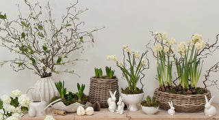 5 ways to transition from Winter Décor into Spring Decor
