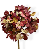 Mulberry