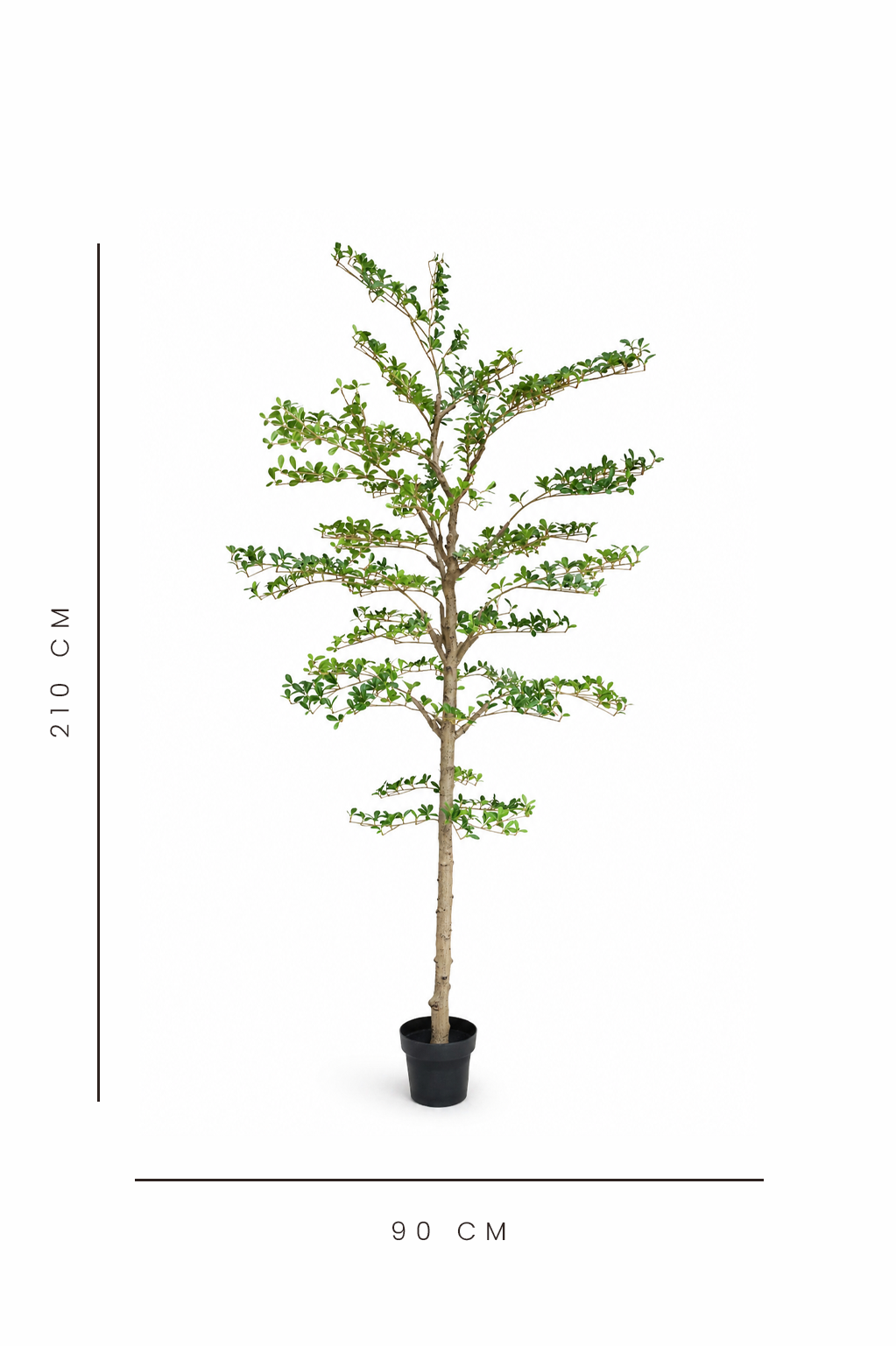 Potted artificial shady lady tree with dimensions indicated on a white background