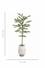 Potted artificial shady lady tree with dimensions indicated on a white background