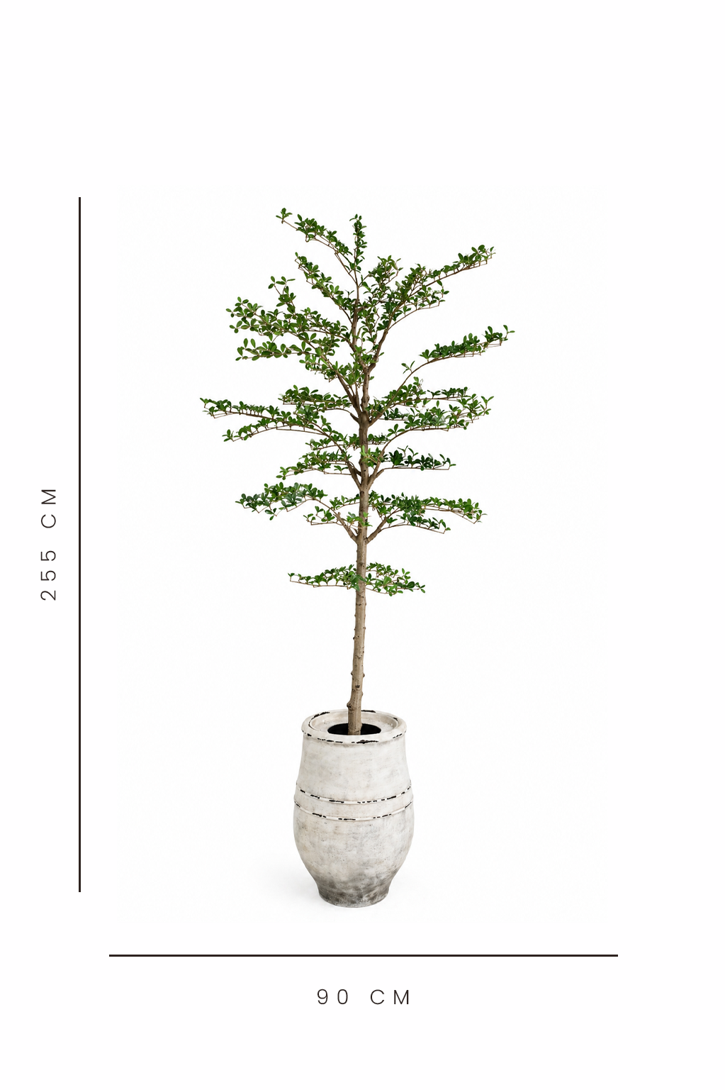 Potted artificial shady lady tree with dimensions indicated on a white background