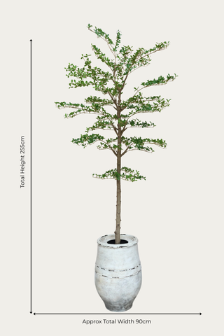 Faux Japanese Quince - 210cm