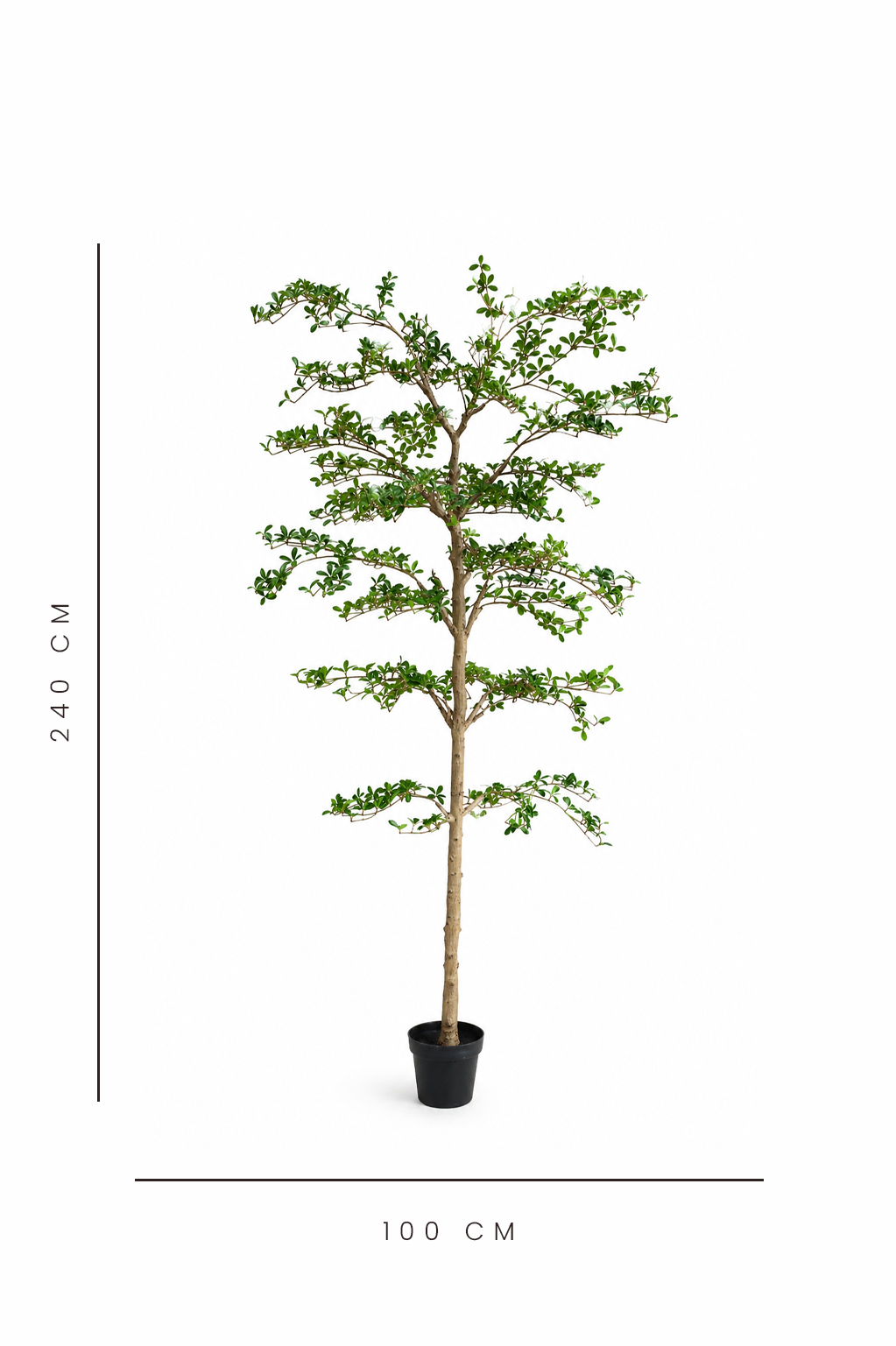artificial shady lady tree with dimensions indicated on a white background