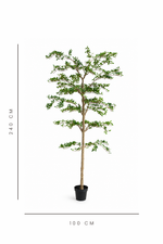 artificial shady lady tree with dimensions indicated on a white background