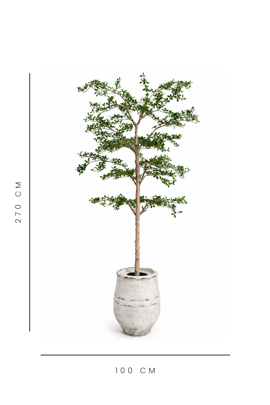 artificial shady lady tree with dimensions indicated on a white background