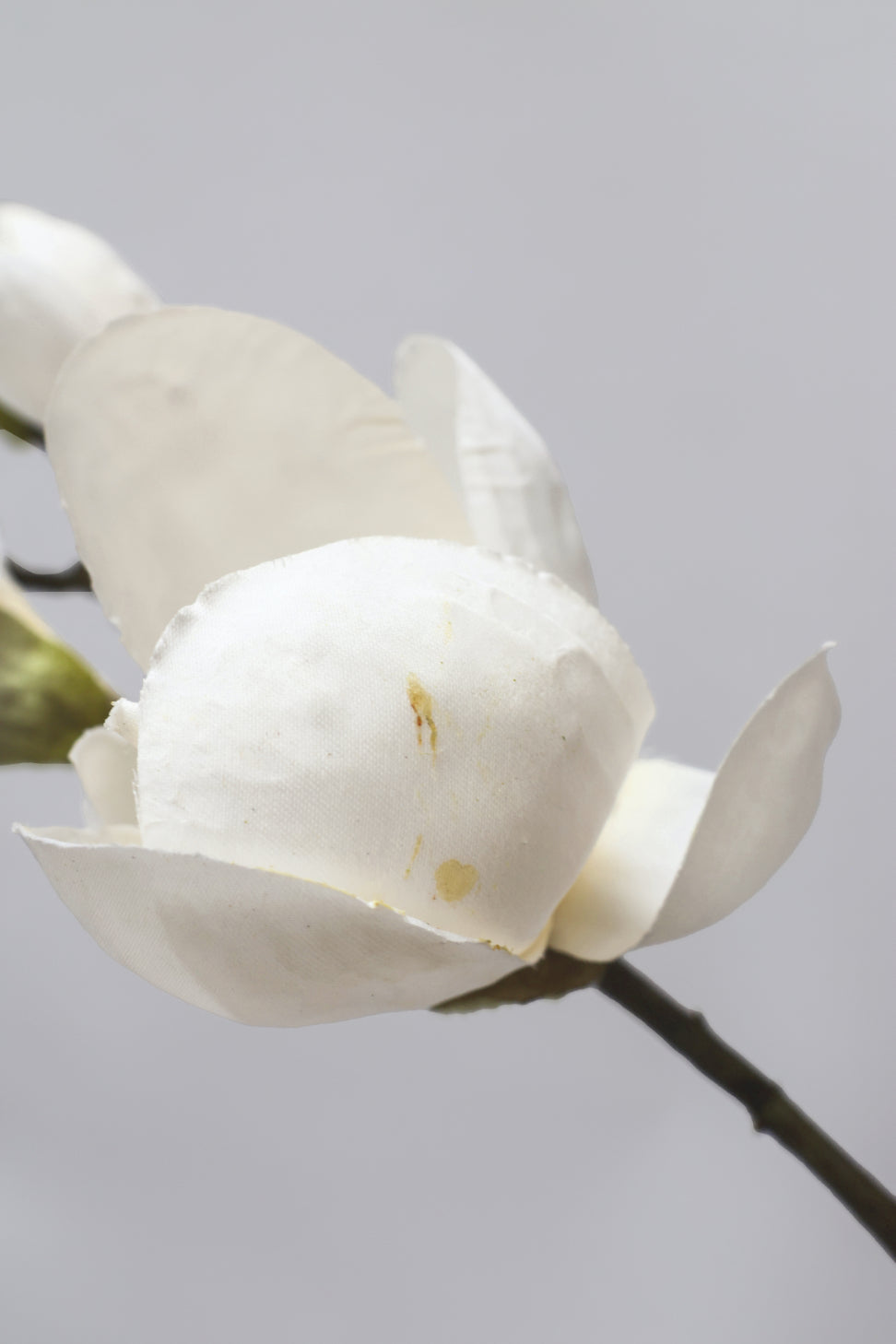 SECONDS Faux Magnolia Tall