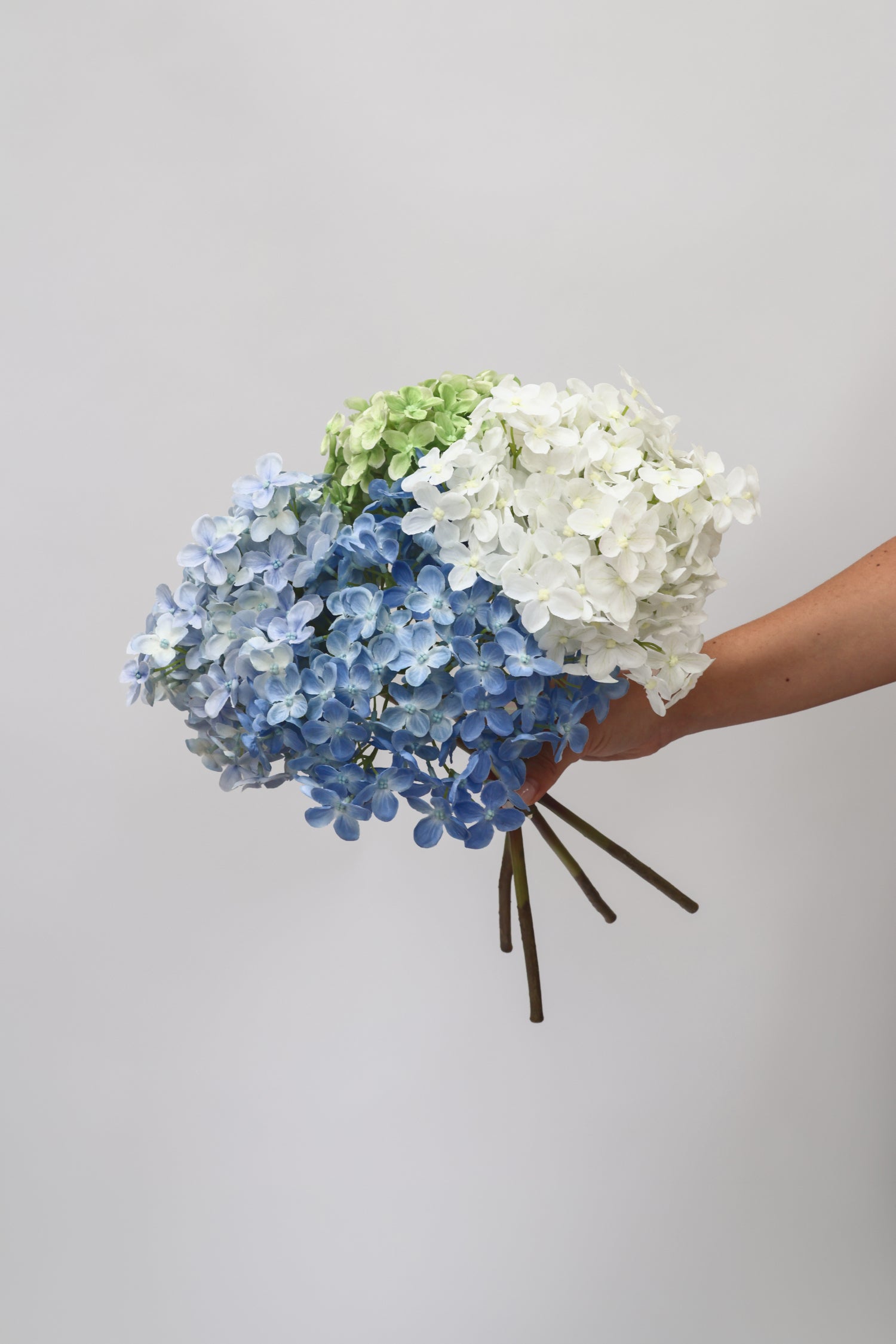SECONDS Bouquet XV
