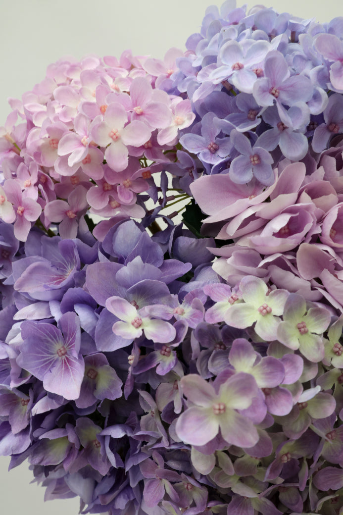 SECONDS Bouquet XVI
