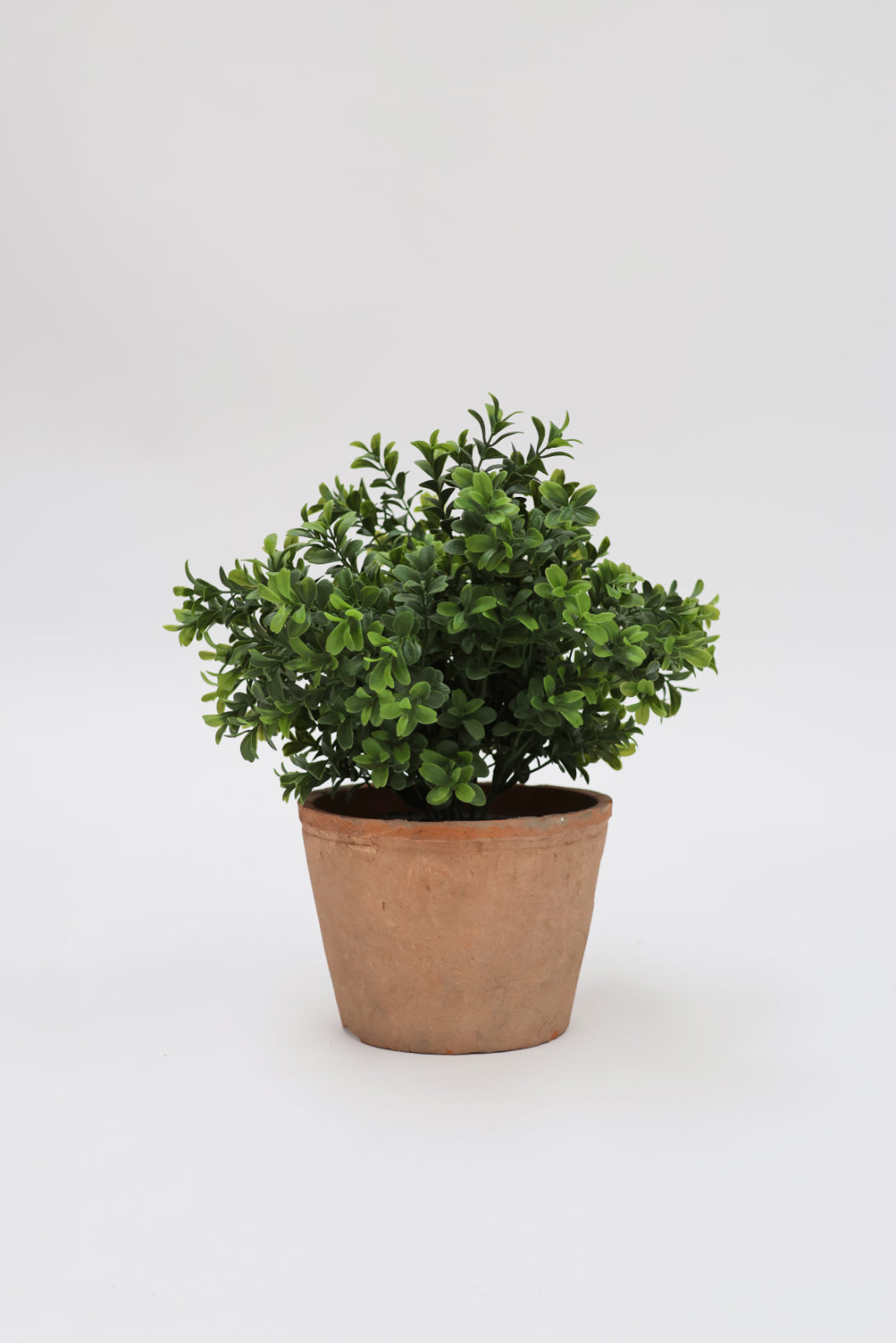 SAMPLE Faux Topiary Potted Plant