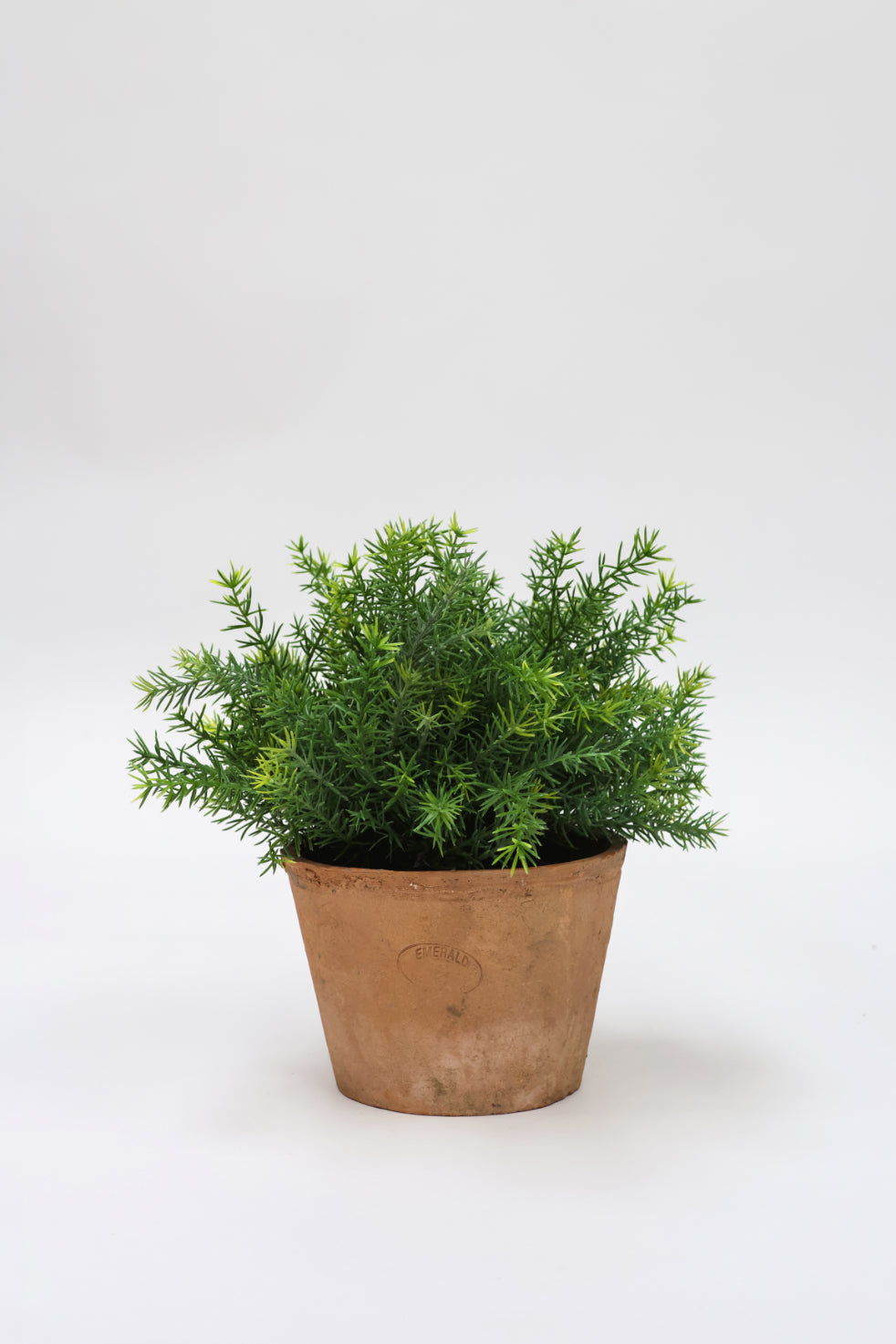 SAMPLE Faux Rosemary Potted Plant