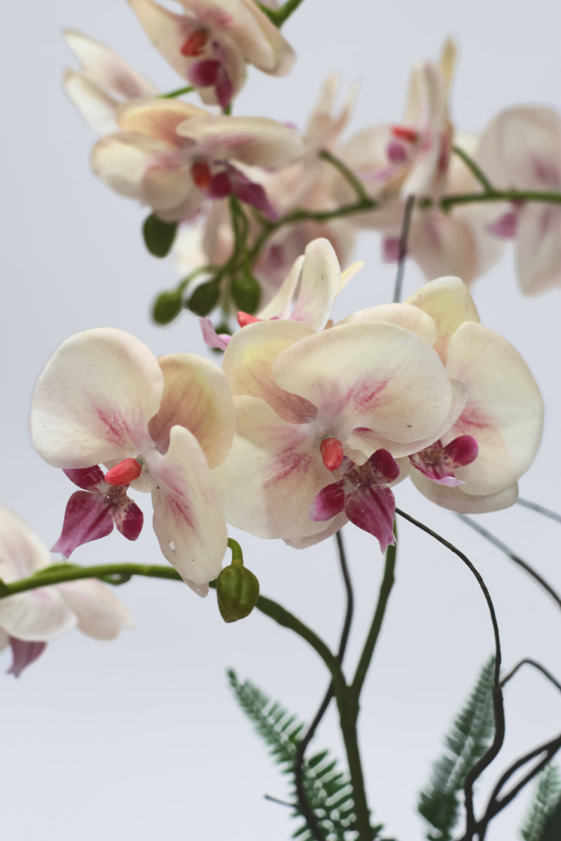 SAMPLE Faux Potted Orchid Plant