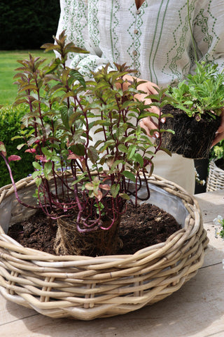 Nayland Rattan Planter