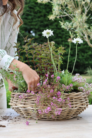 Nayland Rattan Planter