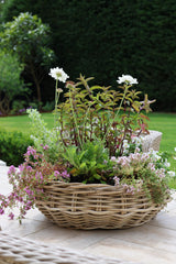 Nayland Rattan Planter