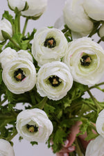SECONDS Ranunculus Bouquet 
