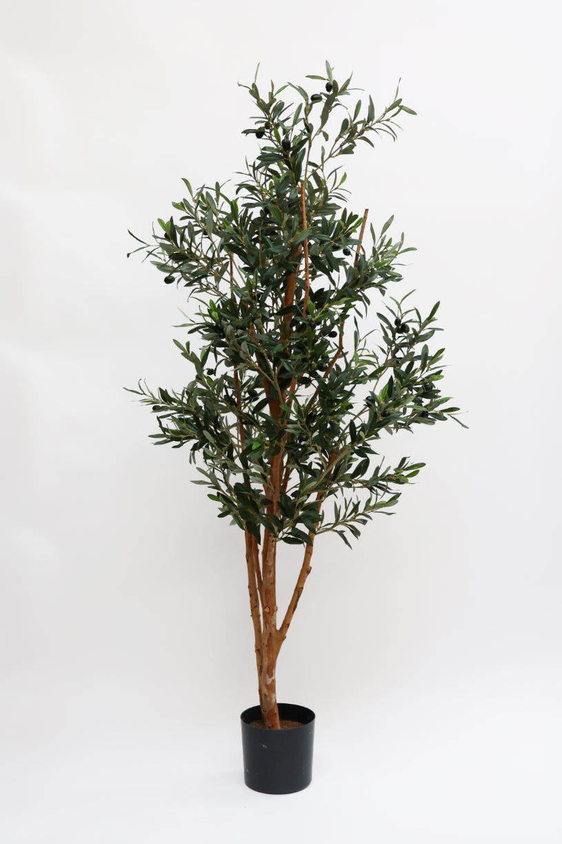 SAMPLE Faux Olive Tree