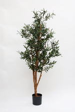 SAMPLE Faux Olive Tree