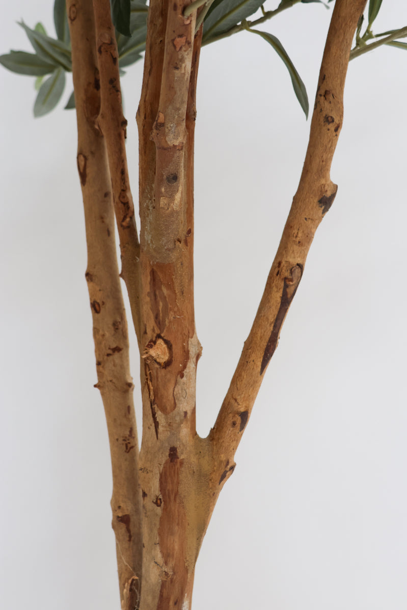 SAMPLE Faux Olive Tree