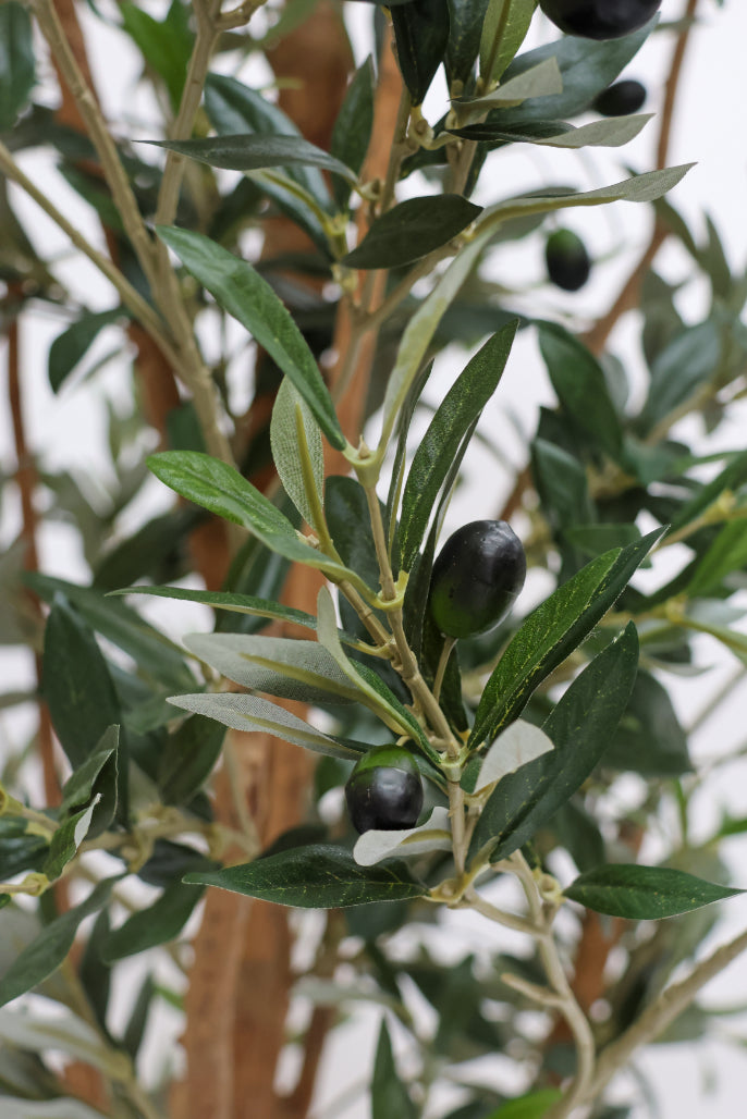 SAMPLE Faux Olive Tree