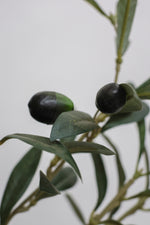SAMPLE Faux Olive Tree