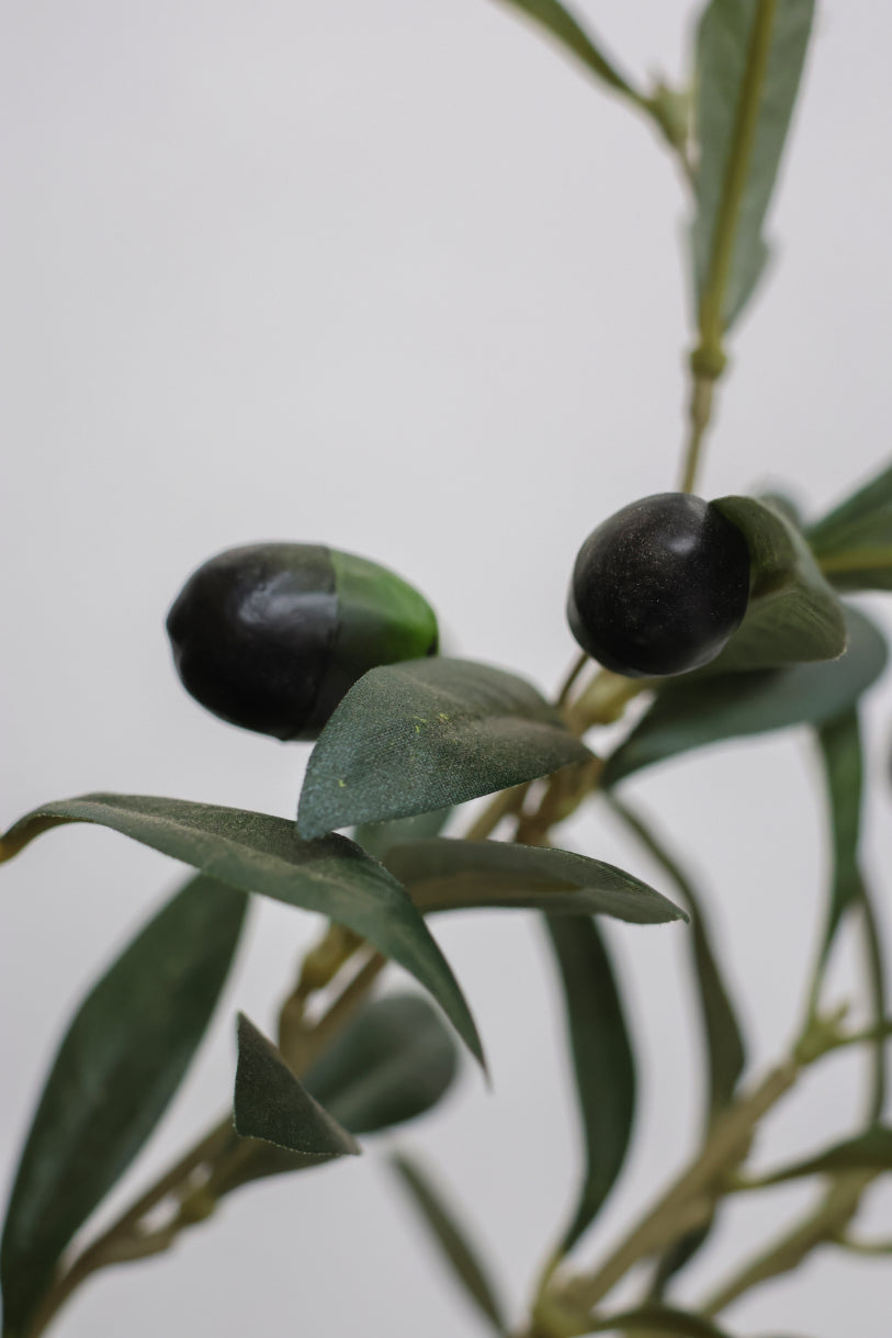SAMPLE Faux Olive Tree