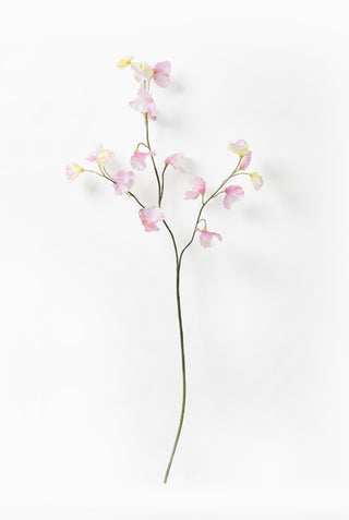 Faux Pink Sweetpea