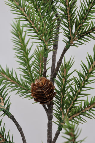 Faux Nordman Fir Branch