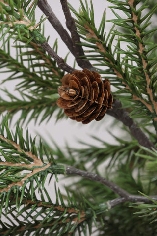 Faux Nordman Fir Branch