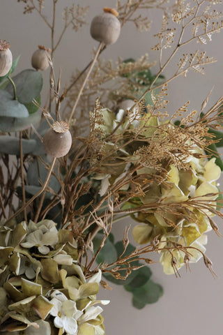 Arrangement of dried flowers and leaves on a neutral background
