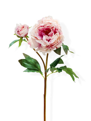 artificial pink peony on white background
