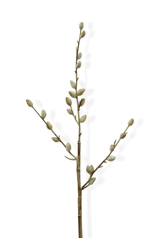 artifical pussy willow branch with buds on a white background