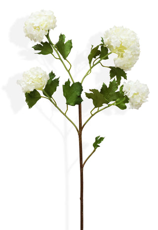 artificial white viburnum on white background