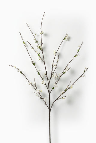 Artificial blossom branch with white flowers on a white background