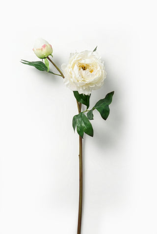 artificial white peony flower with green leaves on a white background