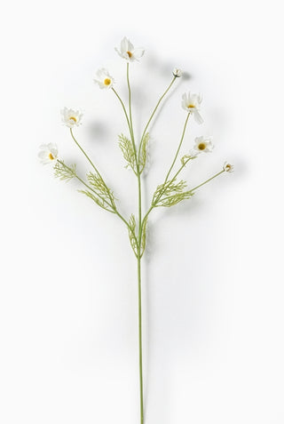 Artificial cosmos flower branch with white flowers on a white background