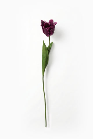 Faux Purple Fringed Tulip