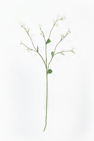 Faux White Forget-Me-Not