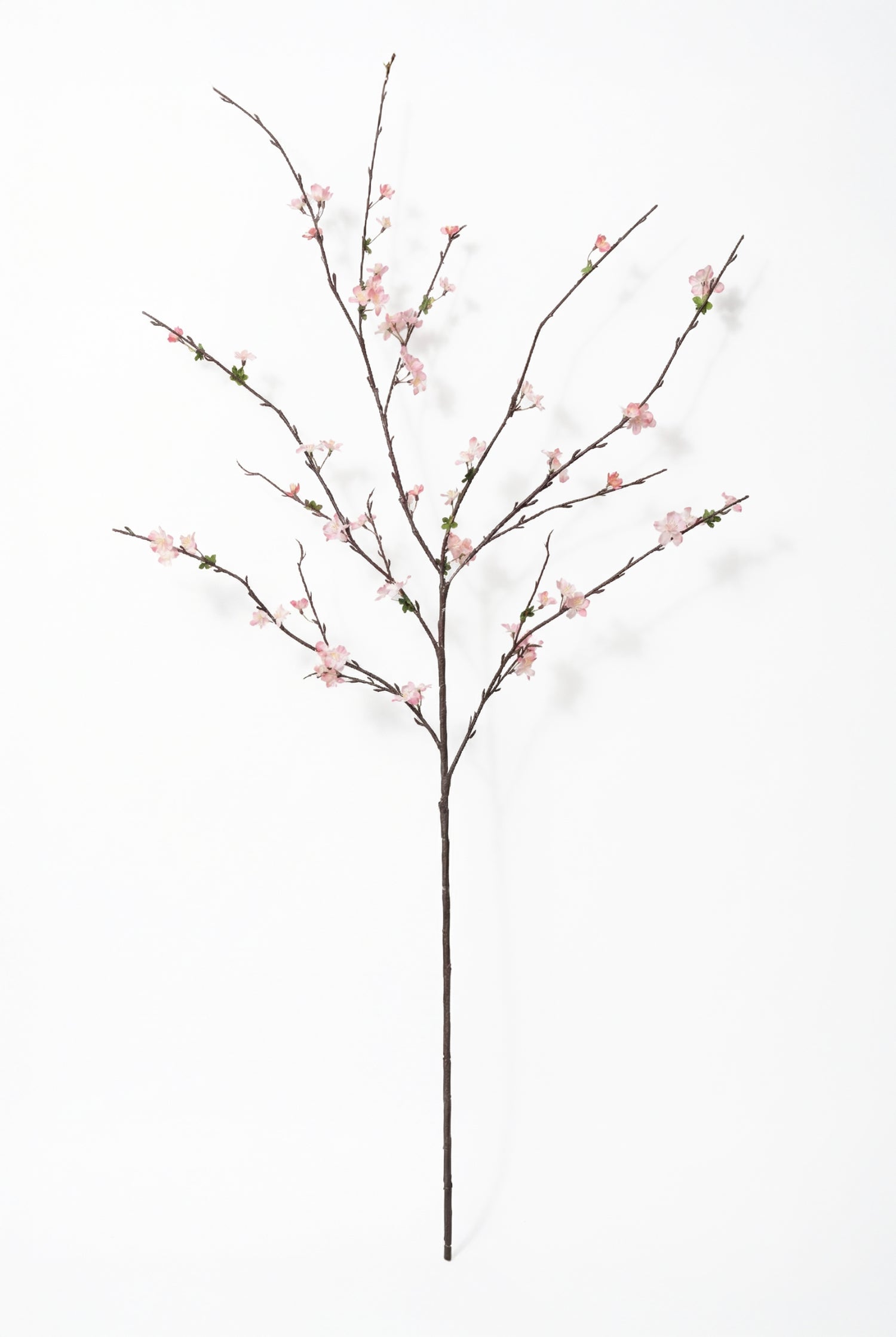Faux Pink Sakura