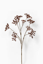 artificial autumn brown Cow Parsley stem on white background 