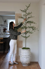 A person standing next to a tall, artificial black olive tree with green leaves, placed in a white pot.