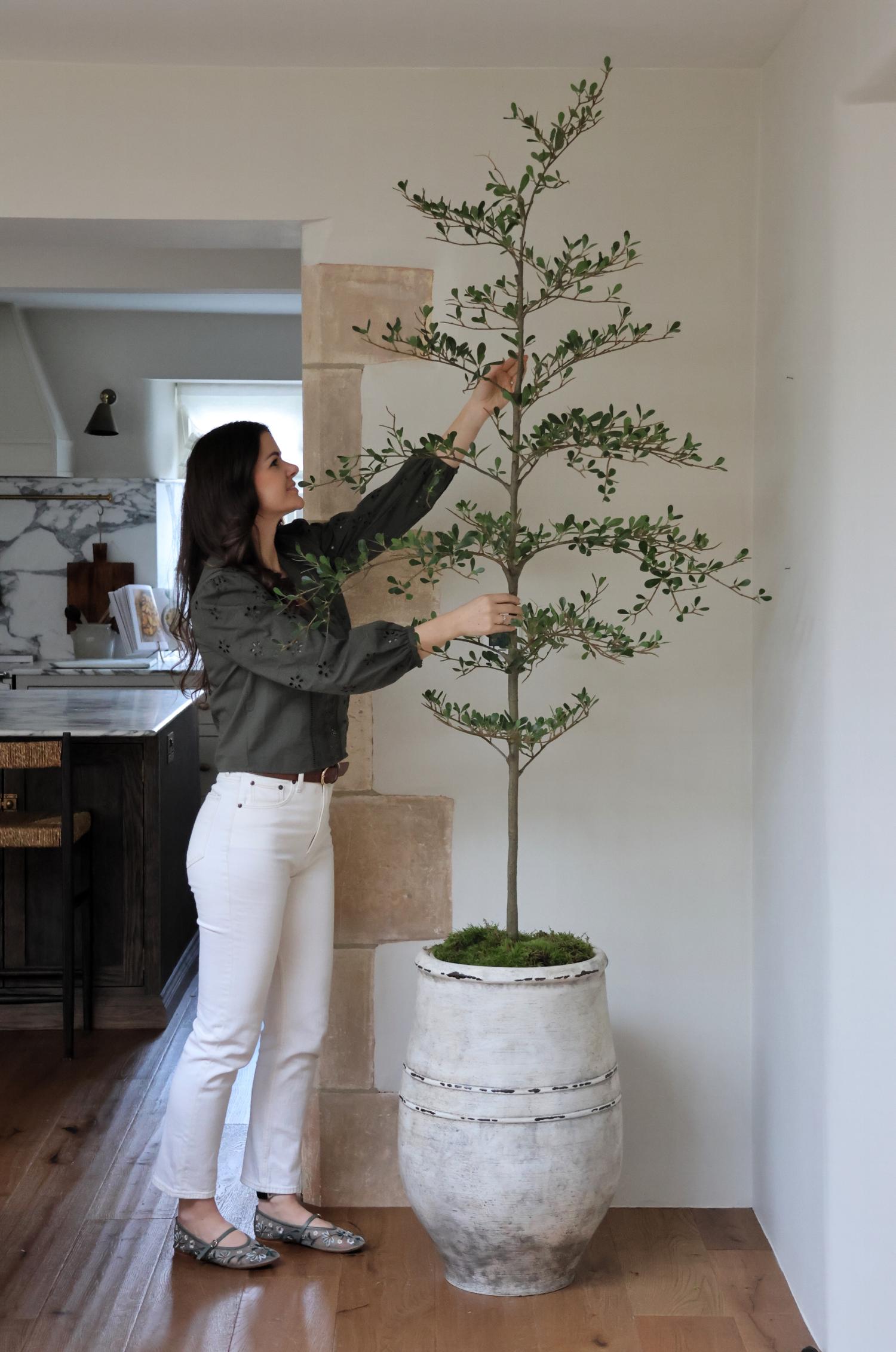 A person standing next to a tall, artificial black olive tree with green leaves, placed in a white pot.